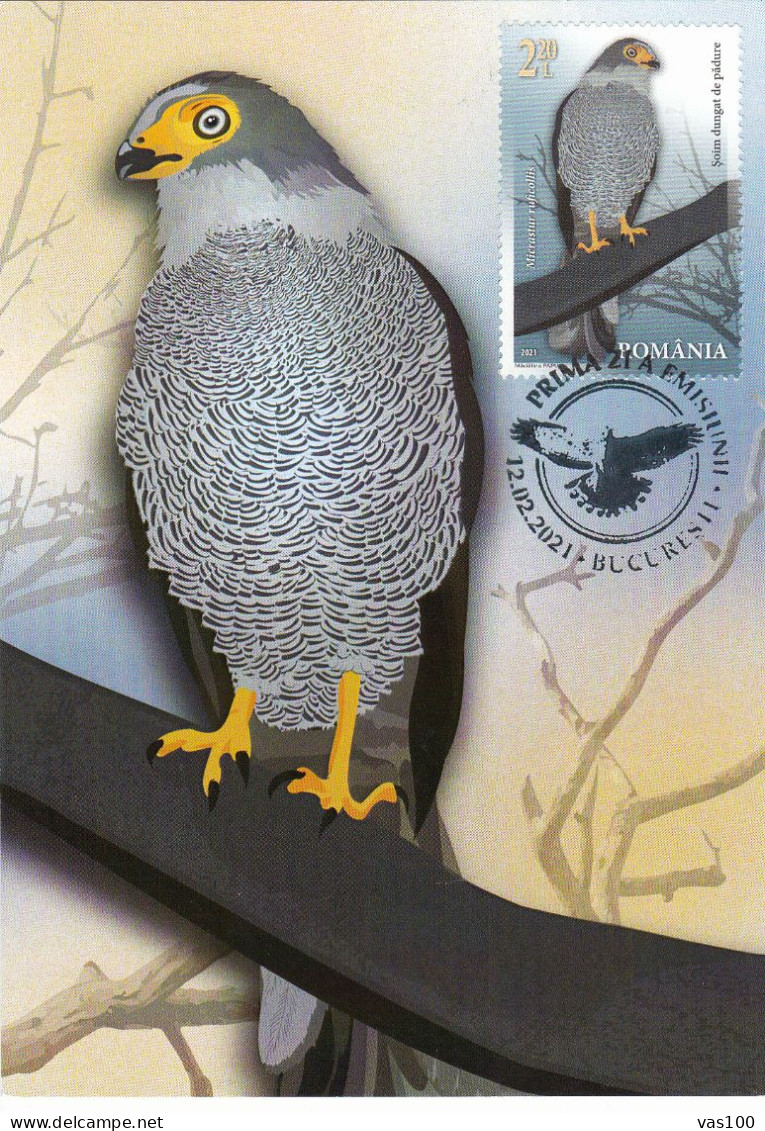 EAGLES BIRDS OF PREY,,2021 MAXICARD,CARTES MAXIMUM ROMANIA. - Aigles & Rapaces Diurnes