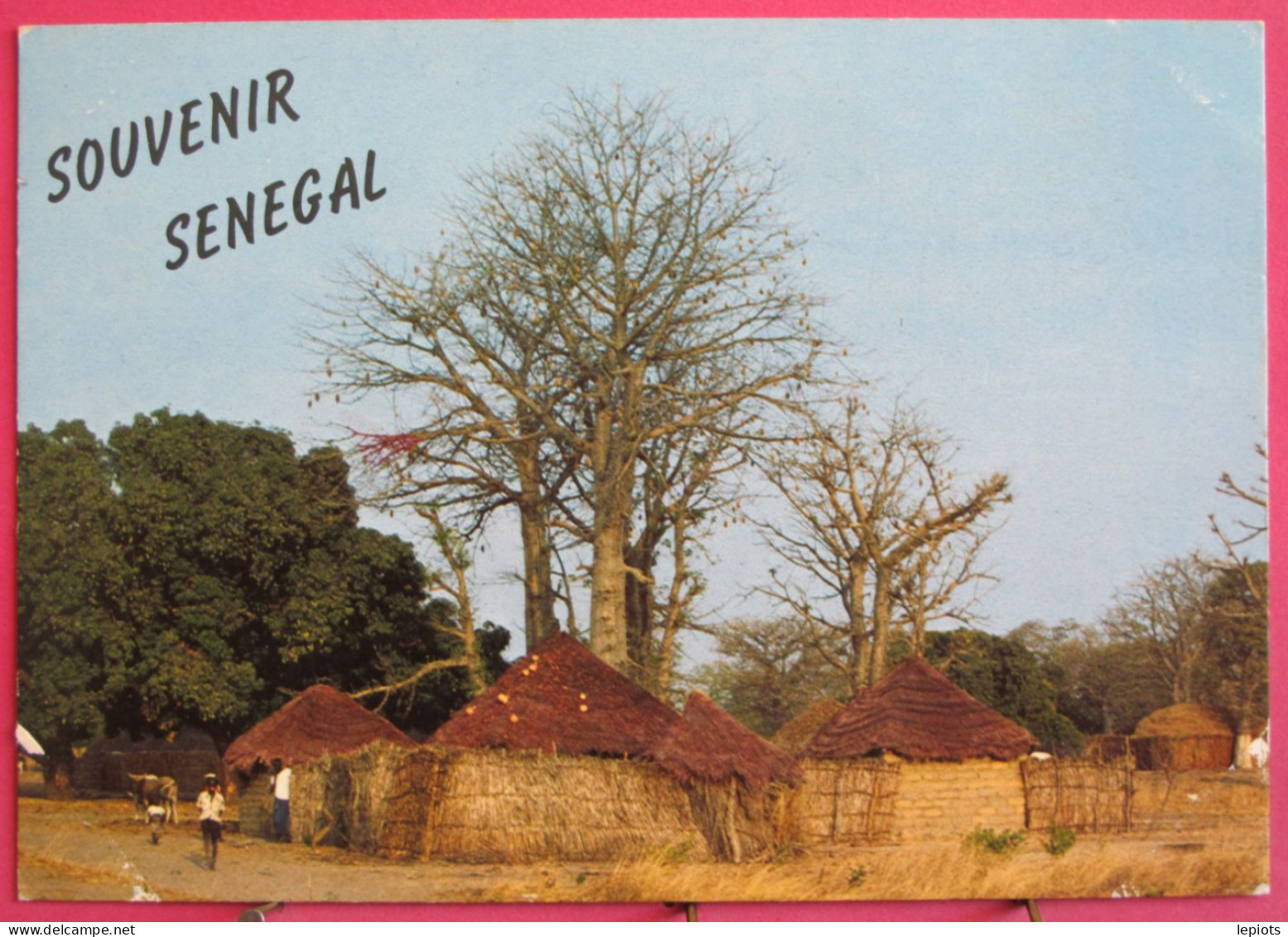 Sénégal - Village Du Sine Saloum - Senegal