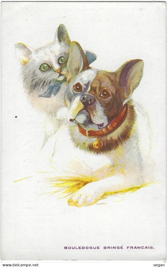 BOULEDOGUE  BRINGE FRANCAIS ET LE CHAT - Chiens