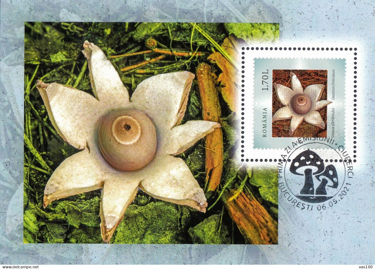 MUSHROOMS,GEASTRUM FIMBRIATUM,2021 MAXICARD,CARTES MAXIMUM ROMANIA. - Mushrooms