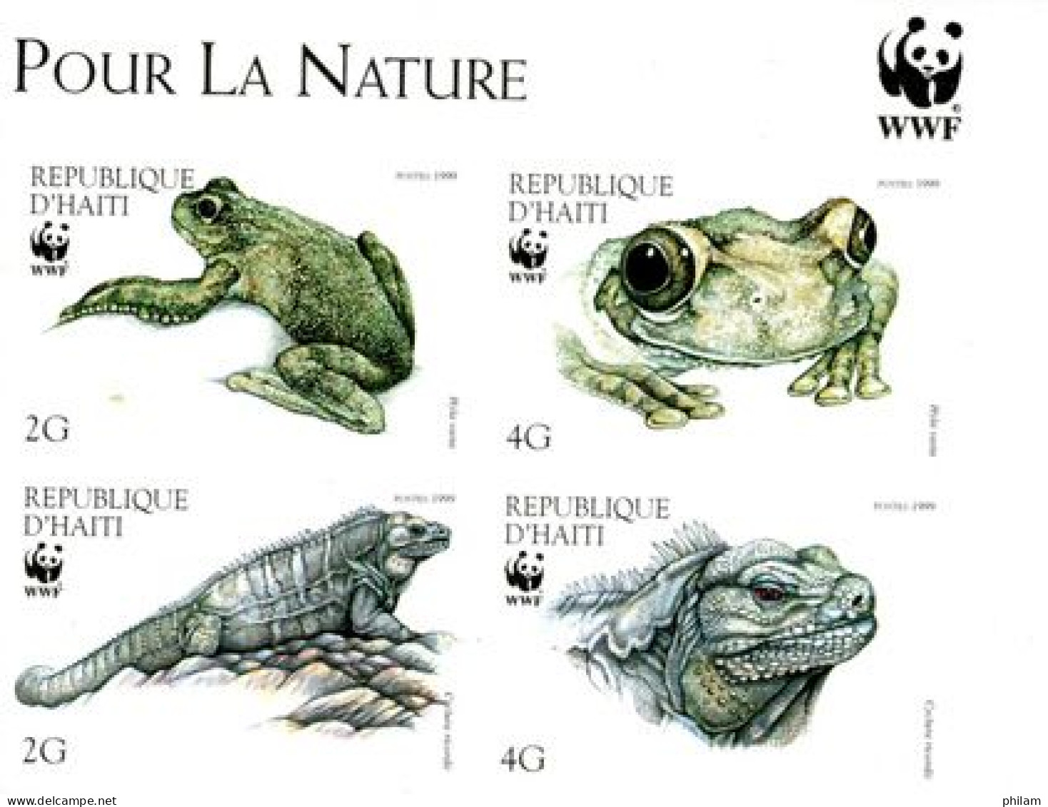 HAITI 1999 - W.W.F.  - Iguane Et Grenouille - Non Dentelé - 4 V. - Haïti