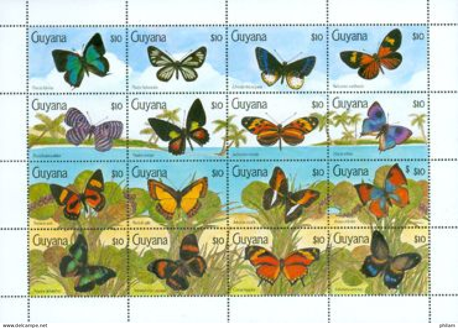 GUYANE 1990 - Papillons IV -  16 V. (Thecla Falerina) - Mariposas