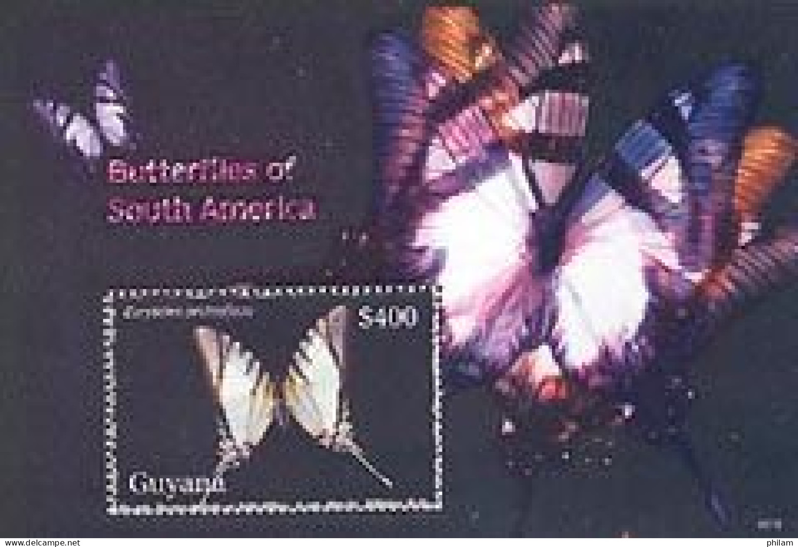 GUYANE 2006 - Papillons -  Bloc I - Eurytides Protsileus - Papillons