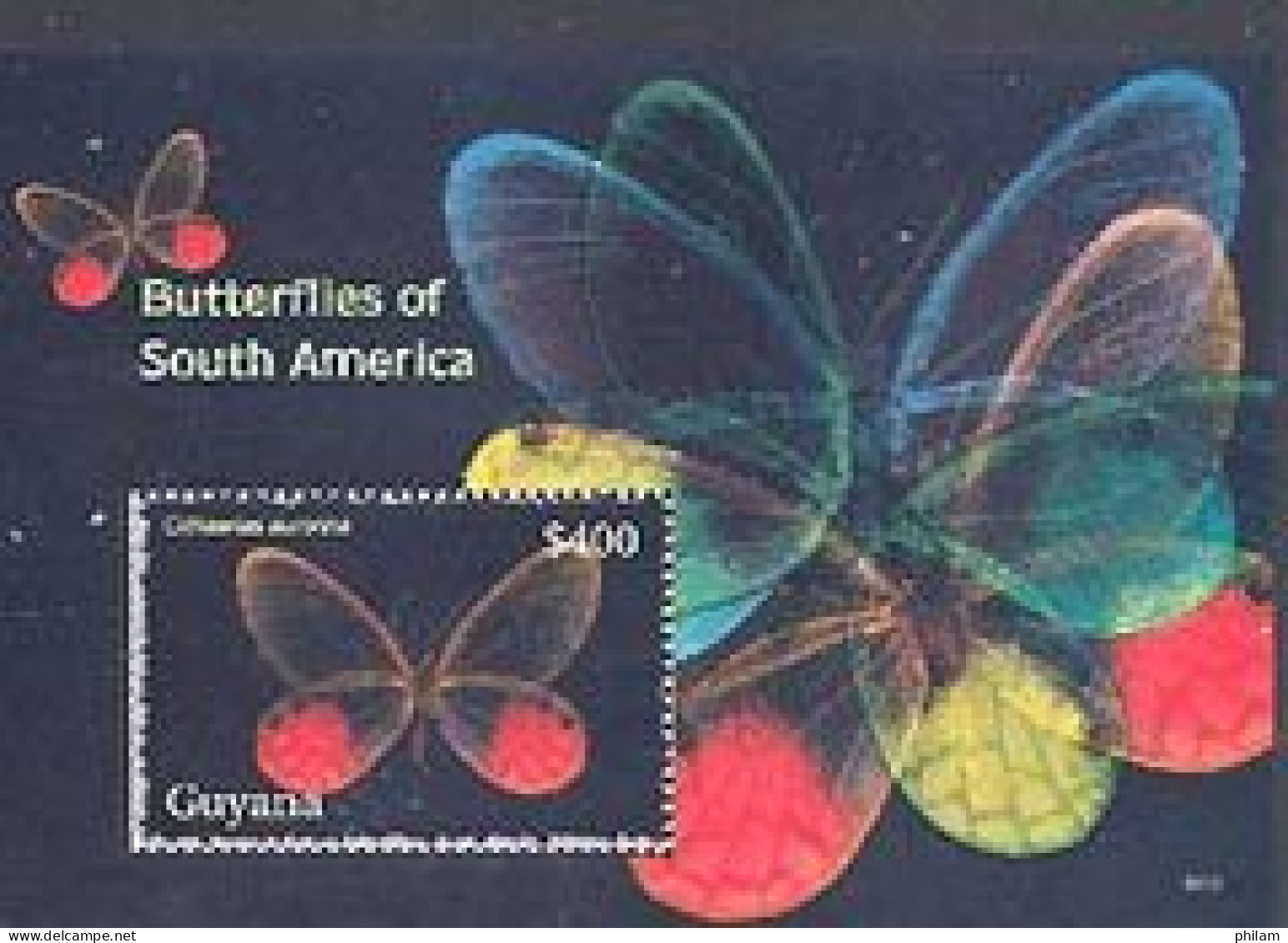 GUYANE 2006 - Papillons -  Bloc II - Cithaerias - Mariposas