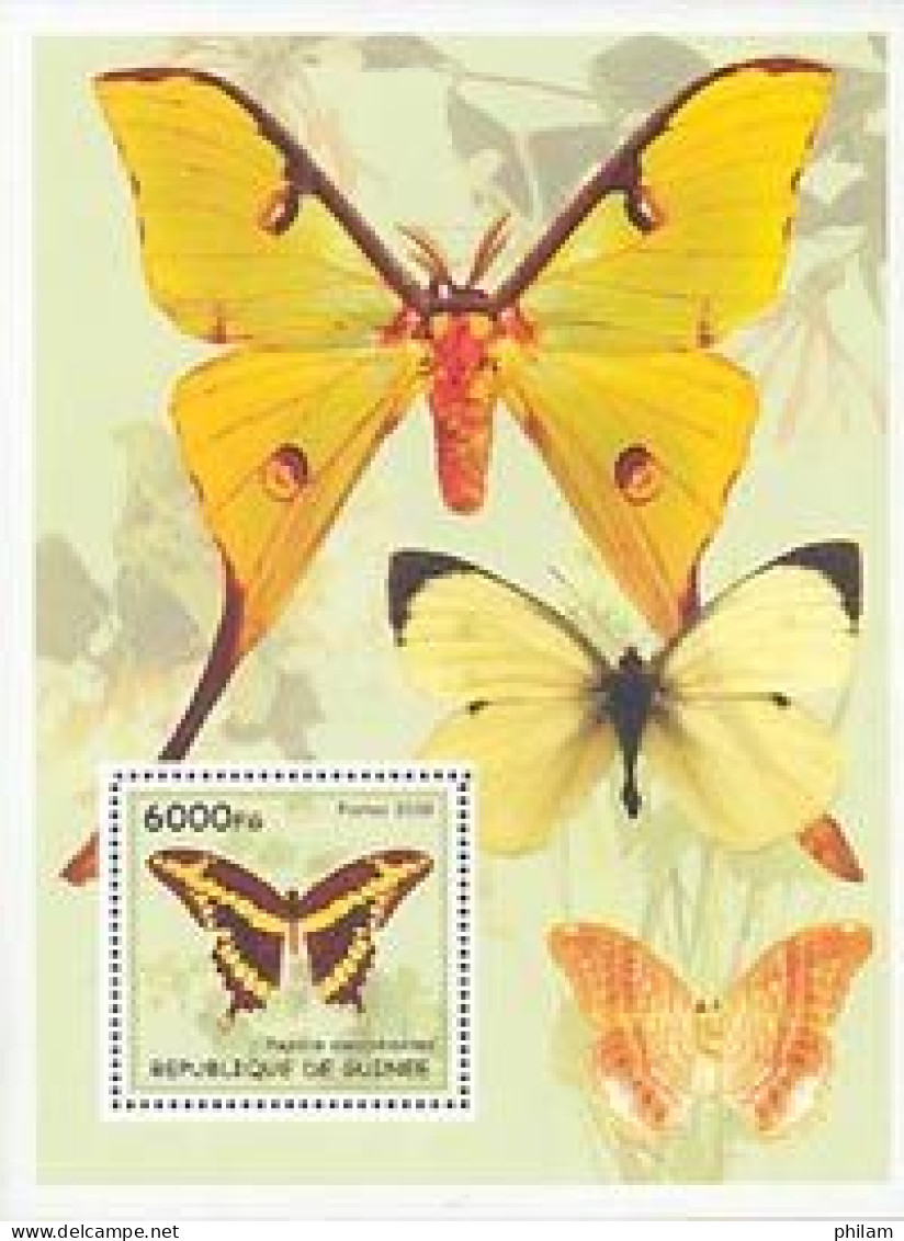 GUINEE 2003 -  Les Papillons - Papillo Cresphontes - BF - Schmetterlinge