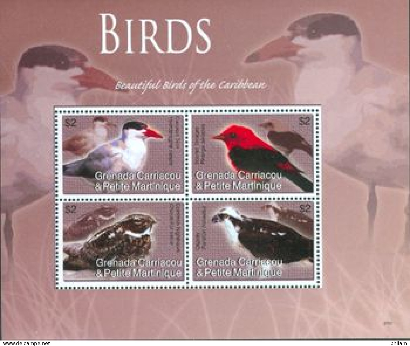 GRENADA GRENADINES 2007 - Oiseaux Des Caraibes - 4 V. - Águilas & Aves De Presa