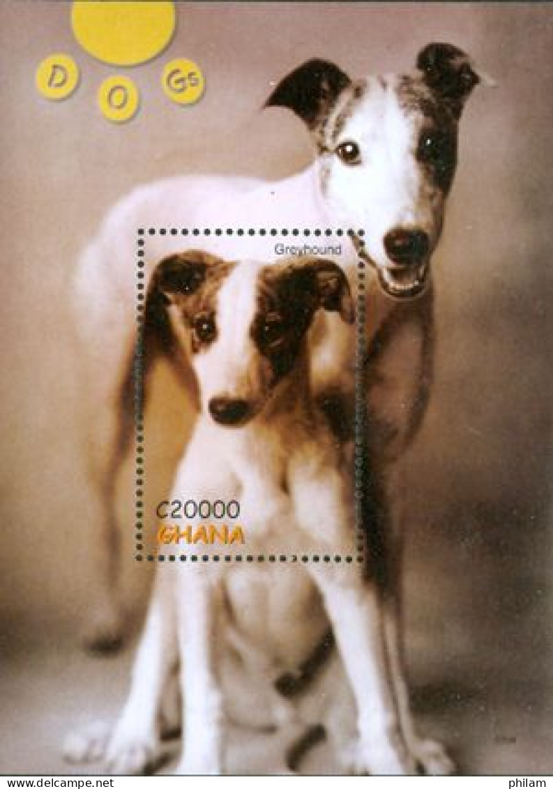 GHANA  2007 - Chiens - Greyhound - BF - Hunde