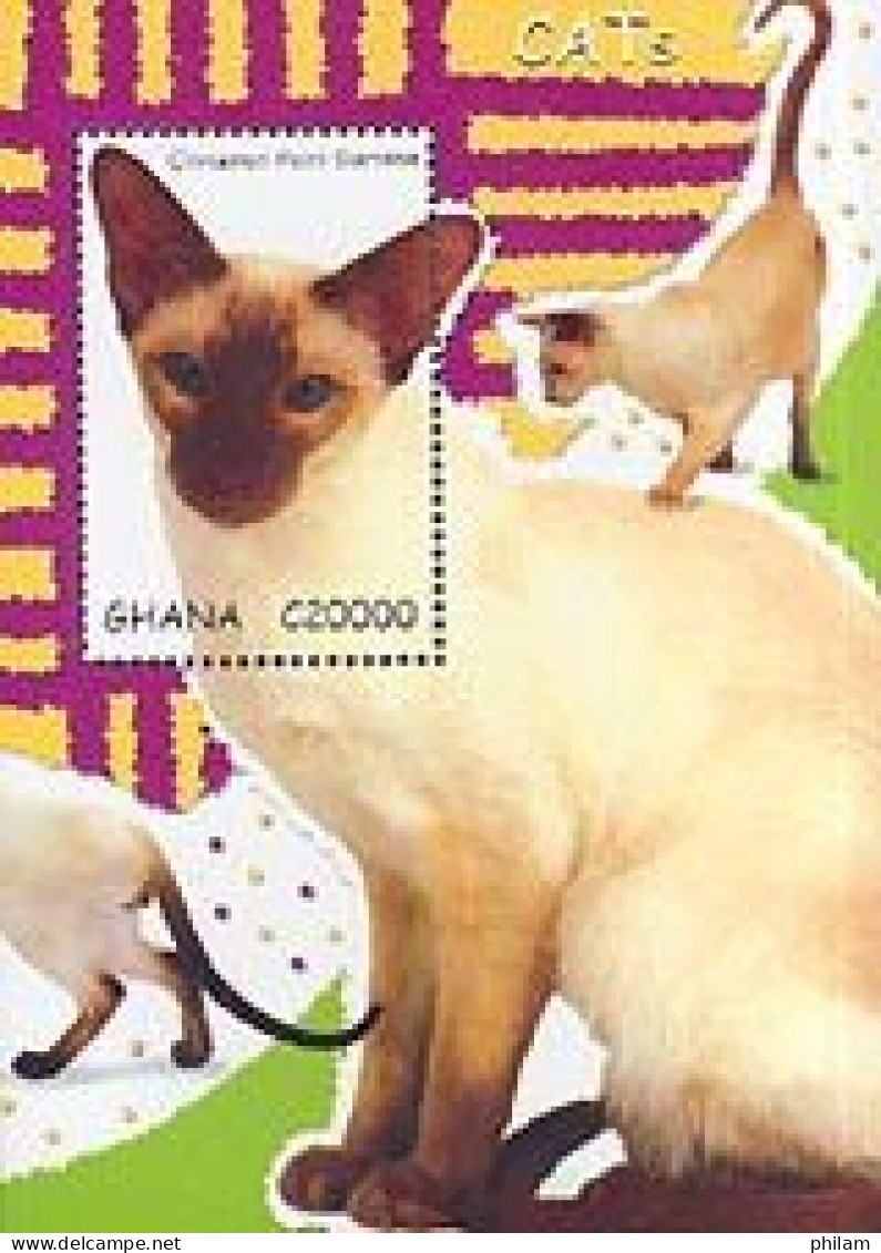 GHANA 2007 - Chats Domestiques - Siamois - Bloc - Chats Domestiques