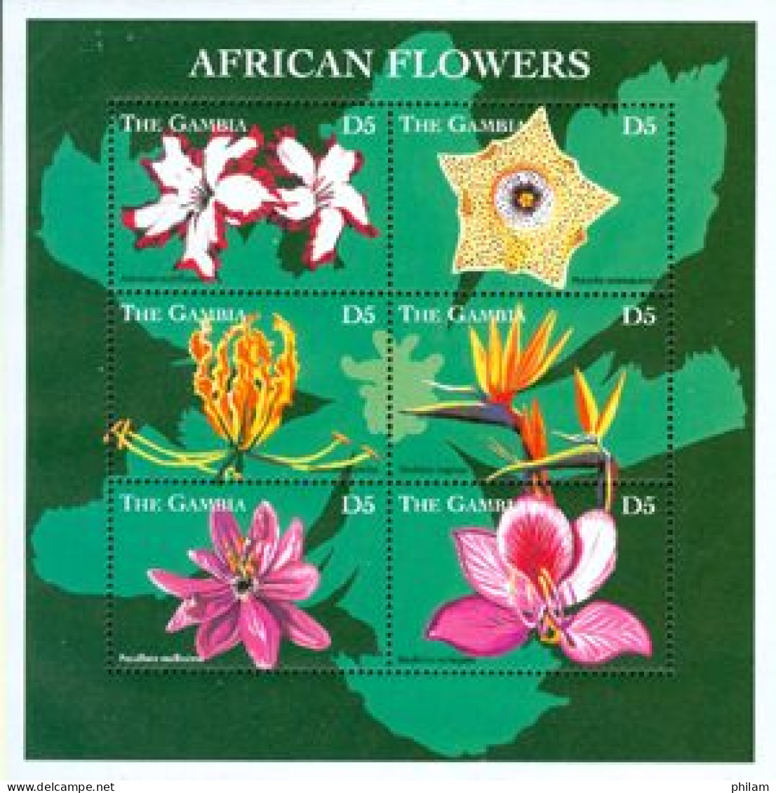 GAMBIE 1998 - Fleurs D'afrique - Feuillet Adenium Multiflorum - 6 V. - Gambie (1965-...)