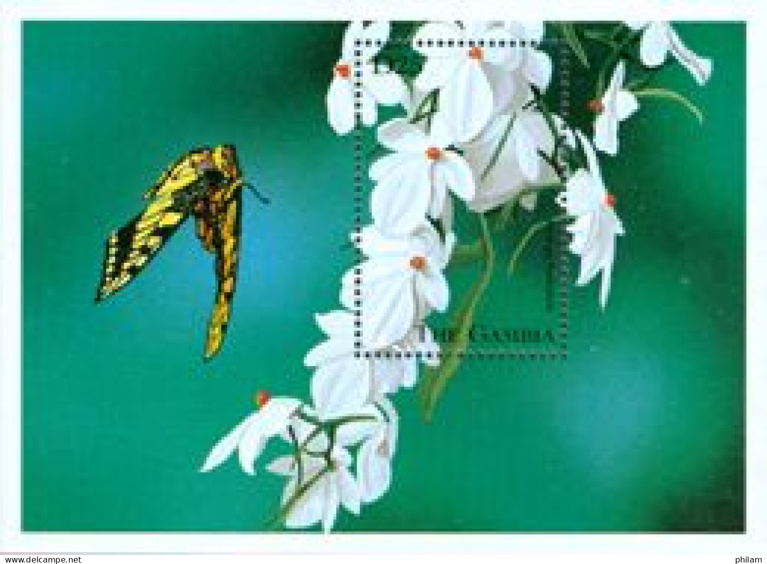 GAMBIE 1998 - Fleurs D'afrique - Orchidée Aerangis Rhodosticia - BF - Sonstige & Ohne Zuordnung
