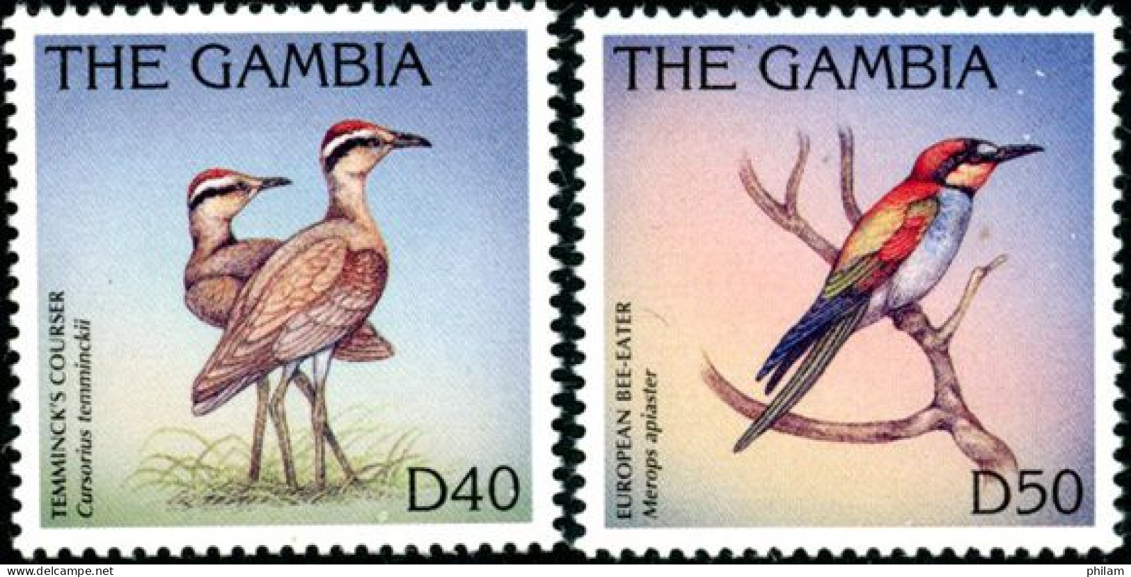 GAMBIE 1997 - Série Courante: Oiseaux - Hautes Valeurs 40 D Et 50 D - 2 V. - Gambia (1965-...)