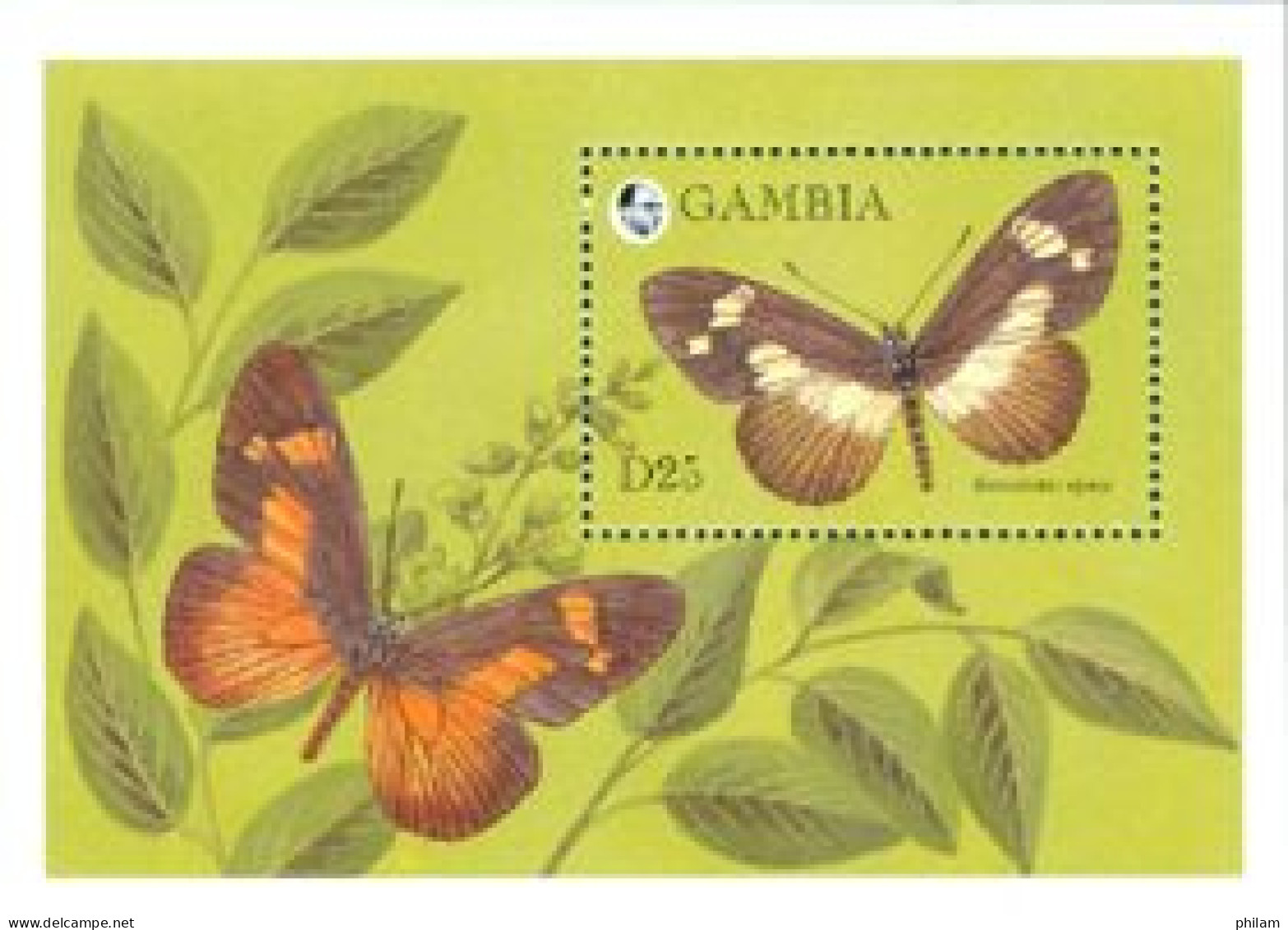 GAMBIE 1994 - Papillons - II -  Bemastites Epacea - BF - Gambia (1965-...)