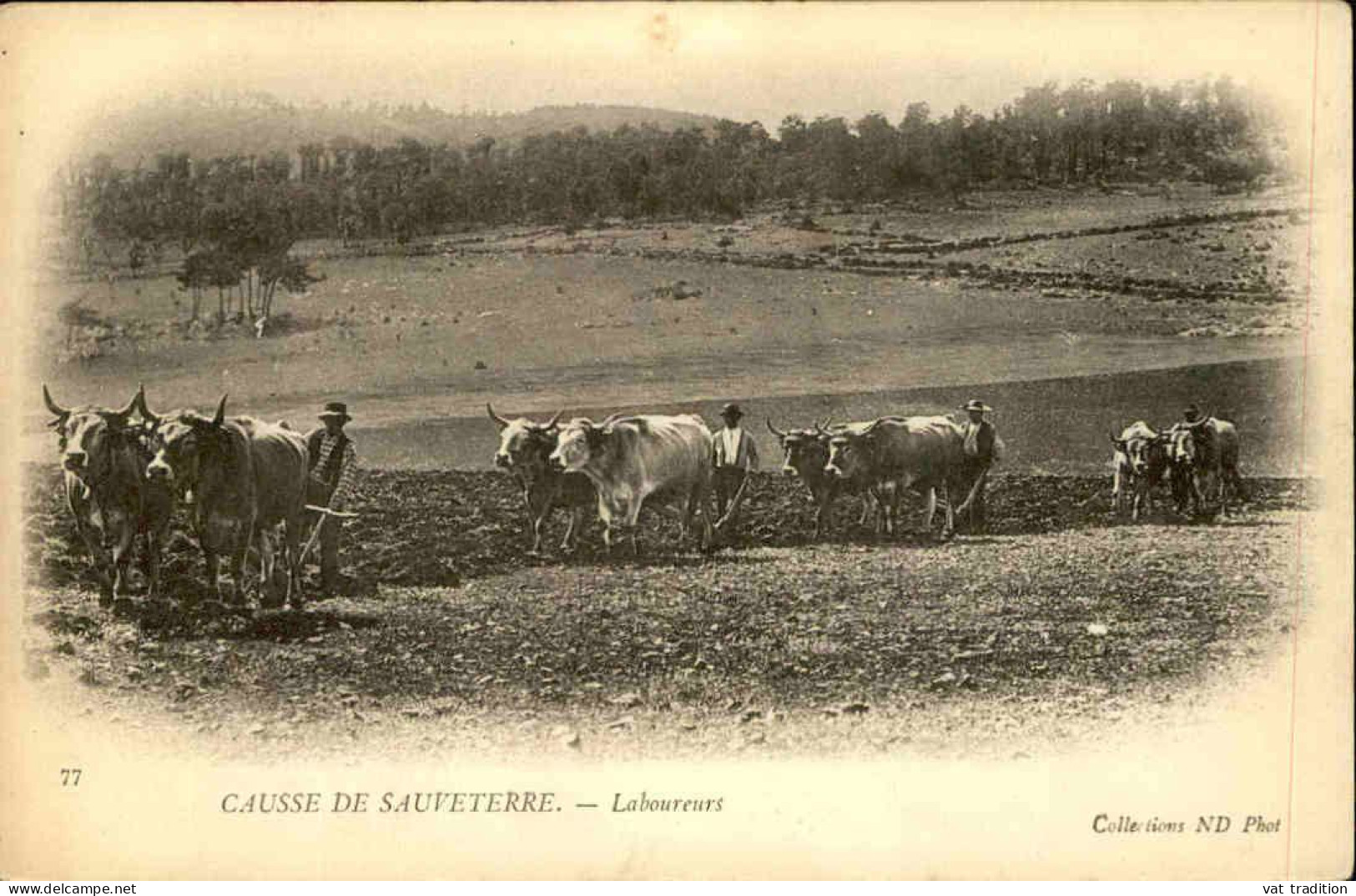 AGRICULTURE - Carte Postale - Causse De Sauveterre - Laboureurs - L 152325 - Cultures
