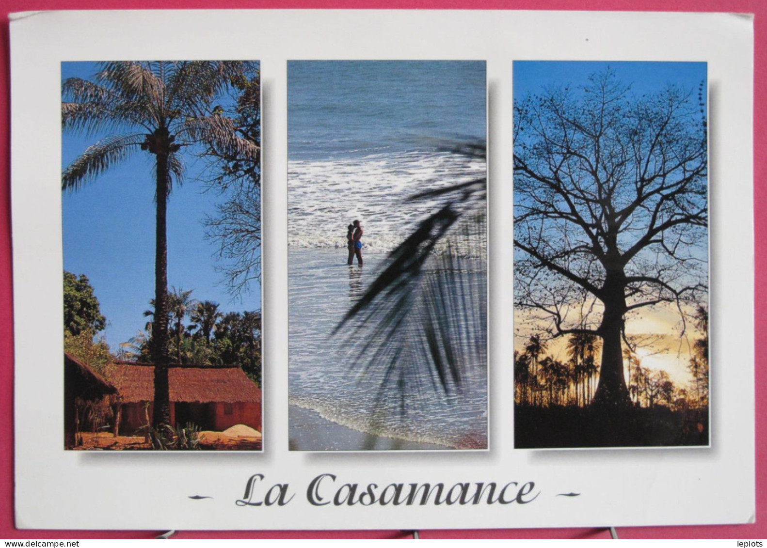 Visuel Pas Très Courant - Sénégal - La Casamance - Village - Plage Du Cap Skirring - Grand Fromager - Sénégal
