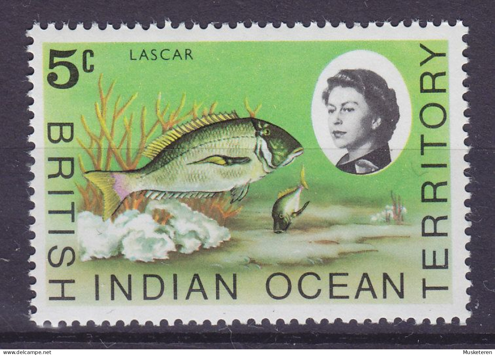British Indian Ocean Territory BIOT 1968 Mi. 16, 5c. Fish Fisch Lascar Meerbasse, MNH** - British Indian Ocean Territory (BIOT)