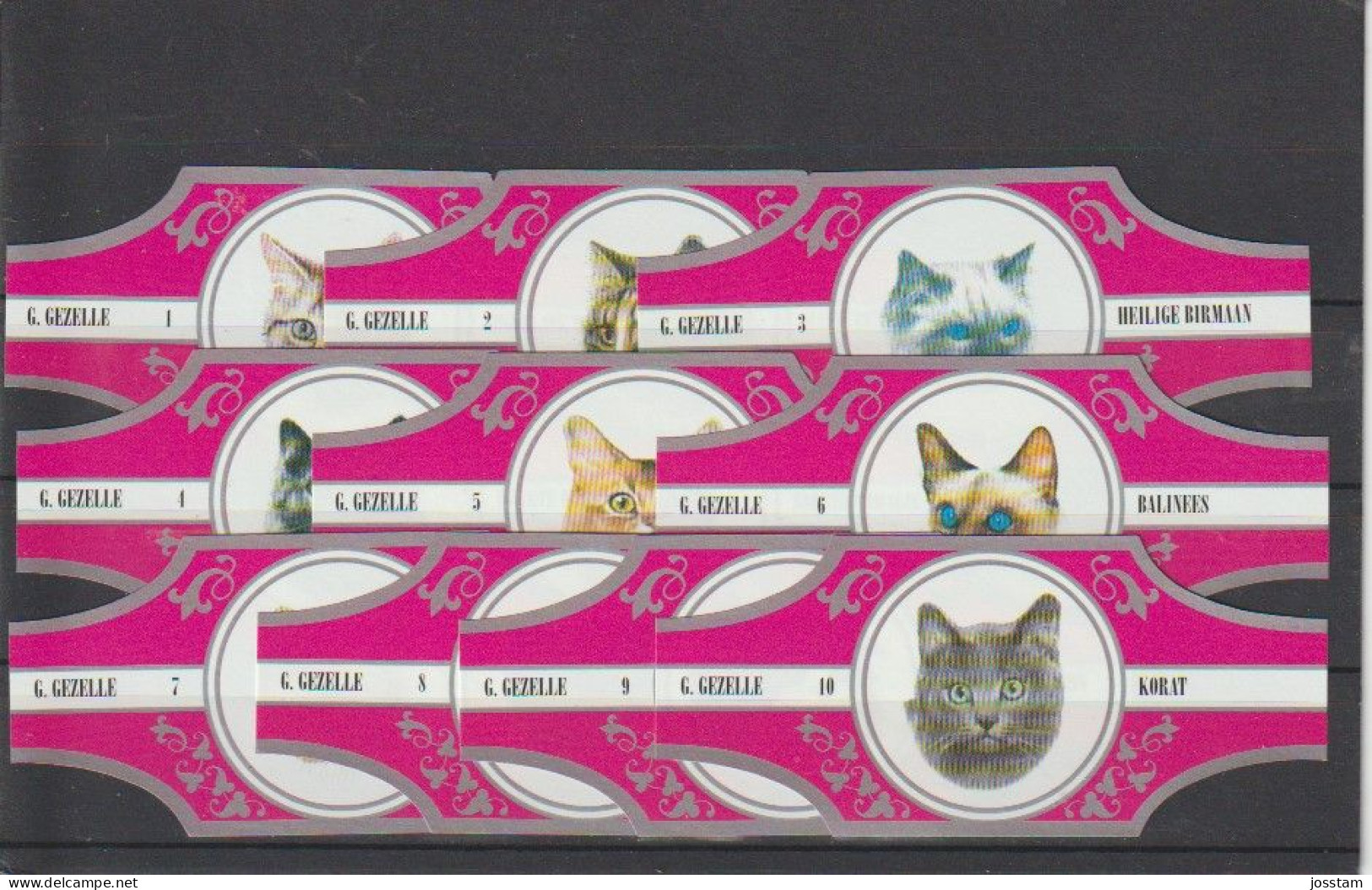 Reeks   2203  Katten   1-10  ,10  Stuks Compleet   , Sigarenbanden Vitolas , Etiquette - Sigarenbandjes