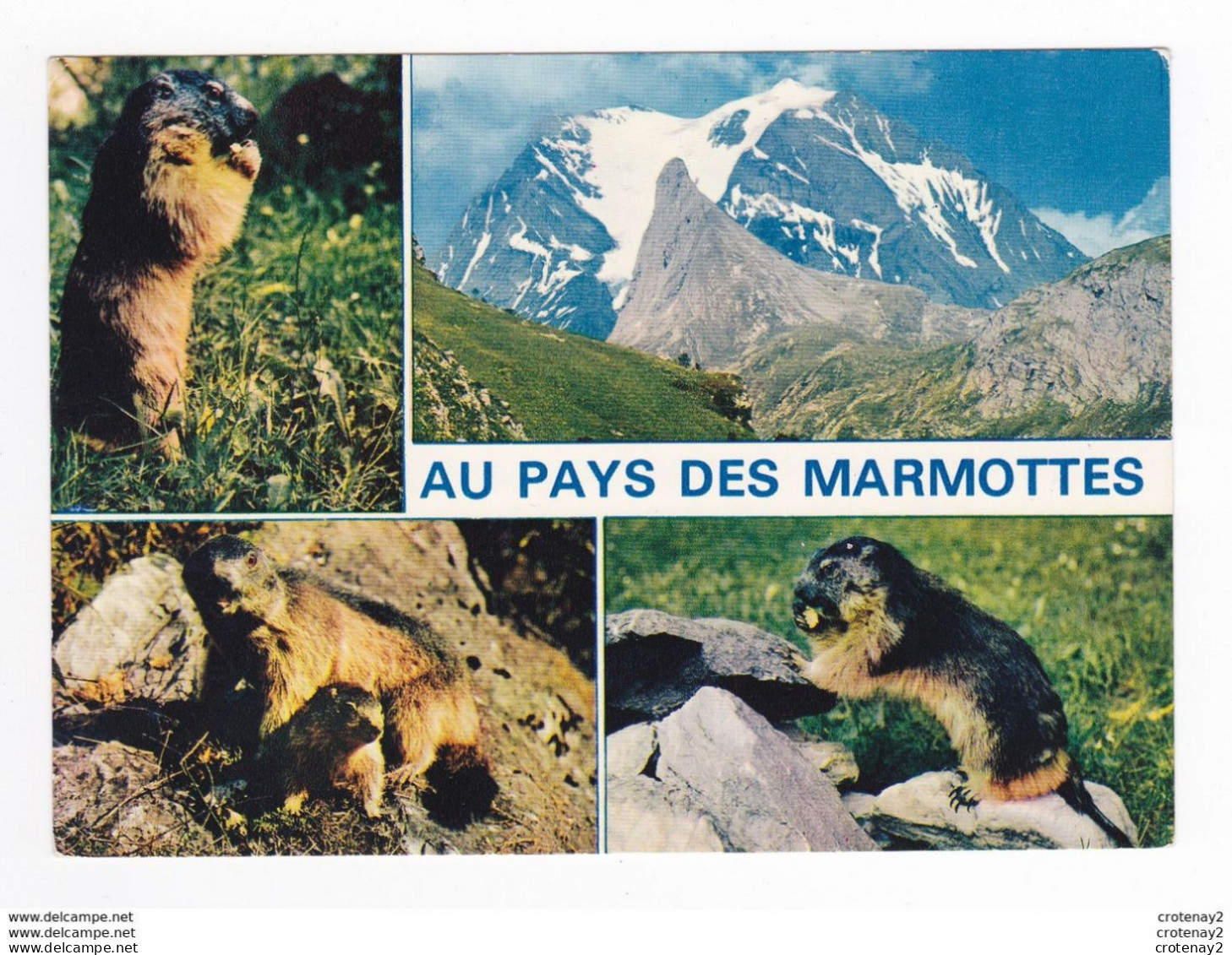 Au Pays Des Marmottes N°2119 En 1985 Marmotta La Marmotte Des Alpes - Autres & Non Classés