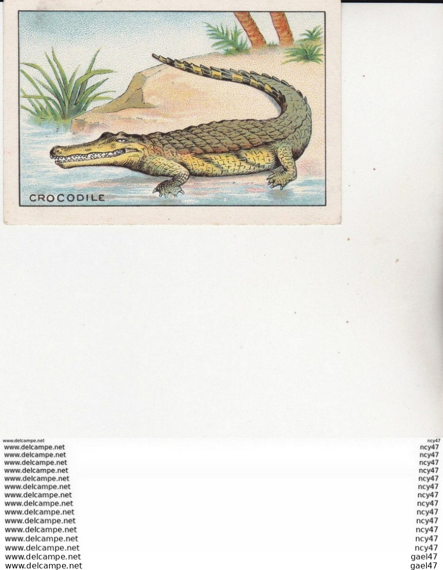 CHROMOS. Le Crocodile ...U402 - Sonstige & Ohne Zuordnung