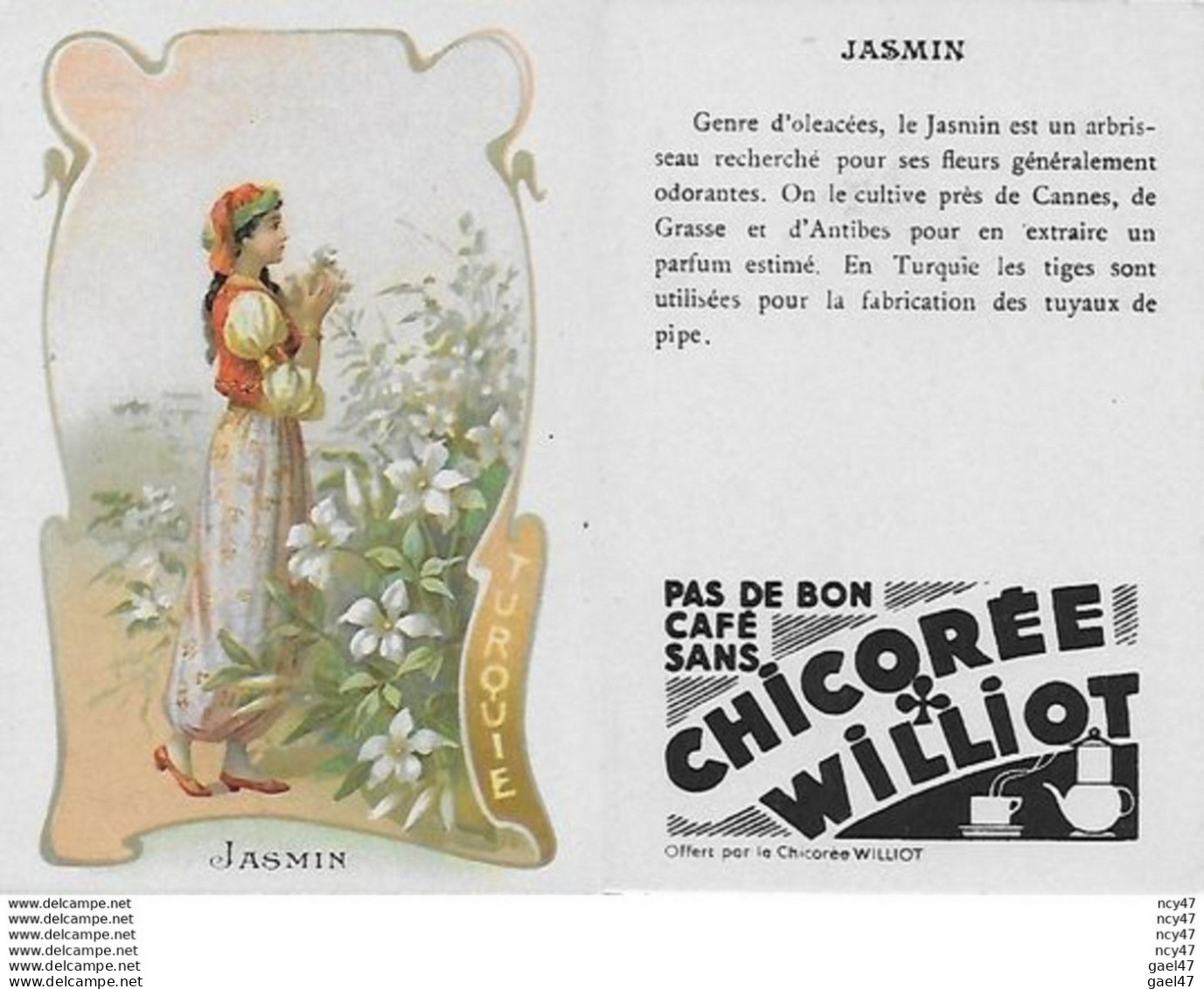 CHROMOS.  Chicorée WILLIOT.  Turquie   "Jasmin"...S3147 - Tea & Coffee Manufacturers