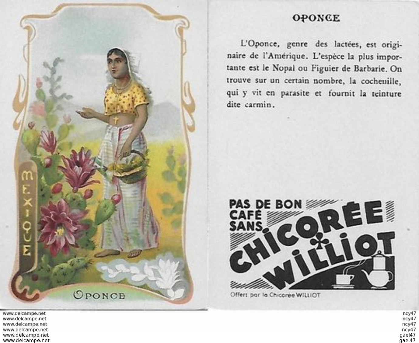 CHROMOS.  Chicorée WILLIOT.  Mexique   "Oponce"...S3144 - Tea & Coffee Manufacturers