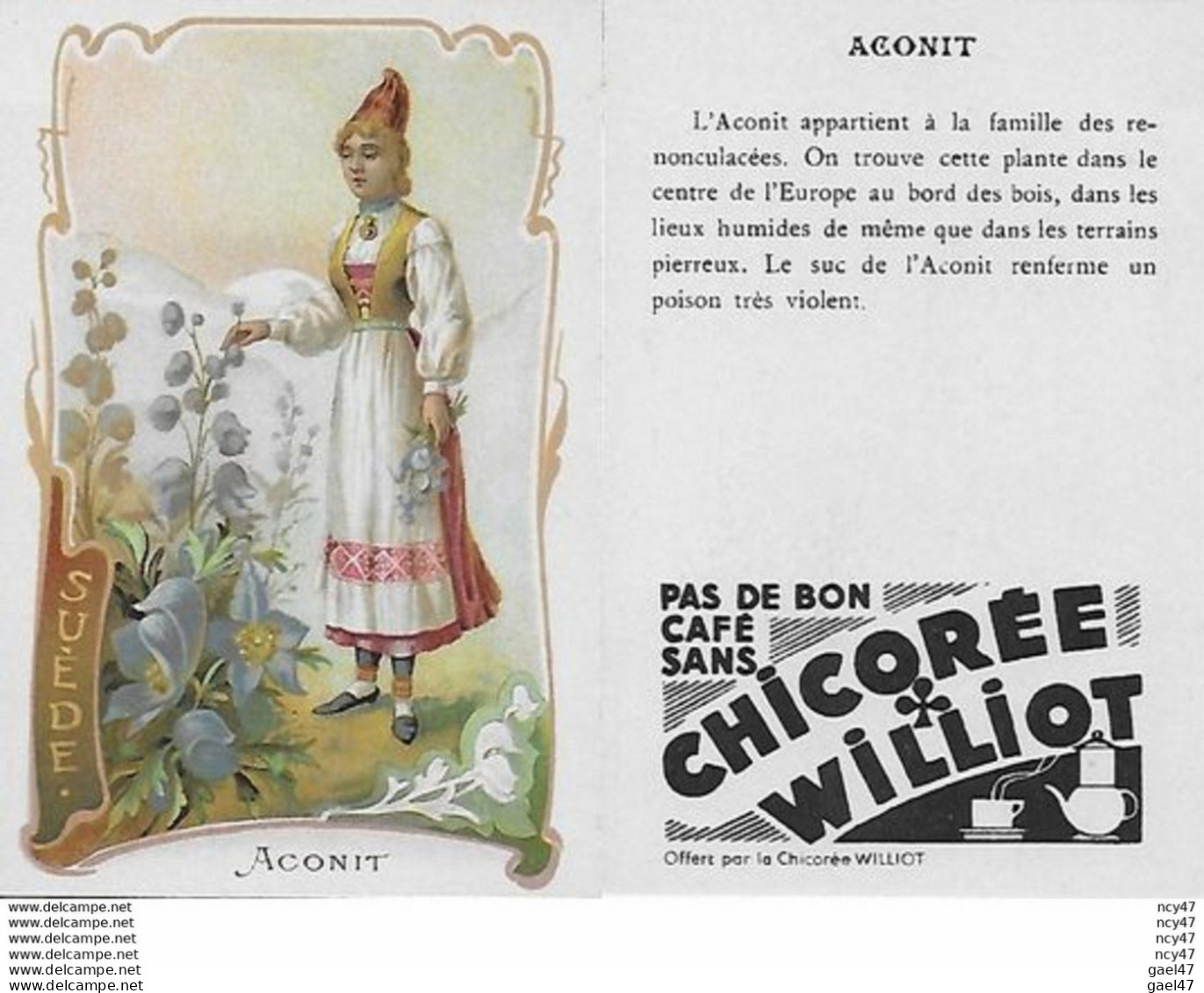 CHROMOS.  Chicorée WILLIOT.  Suède   "Aconit"...S3148 - Thé & Café