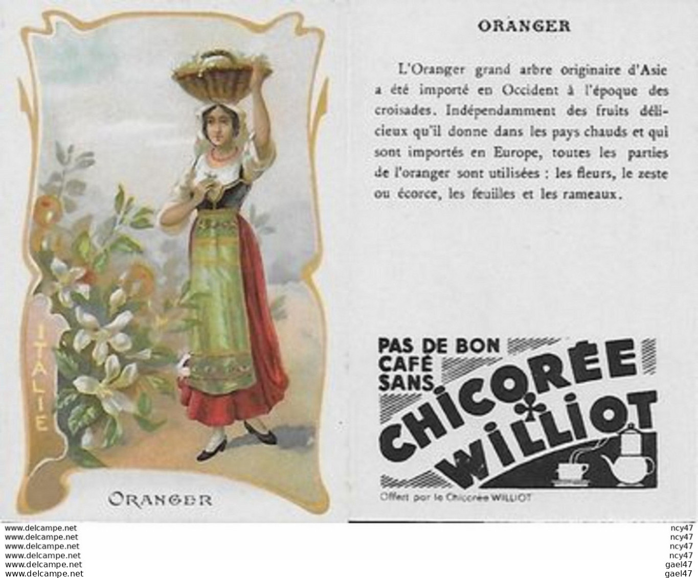 CHROMOS.  Chicorée WILLIOT.  Italie "Oranger"...S3130 - Thee & Koffie