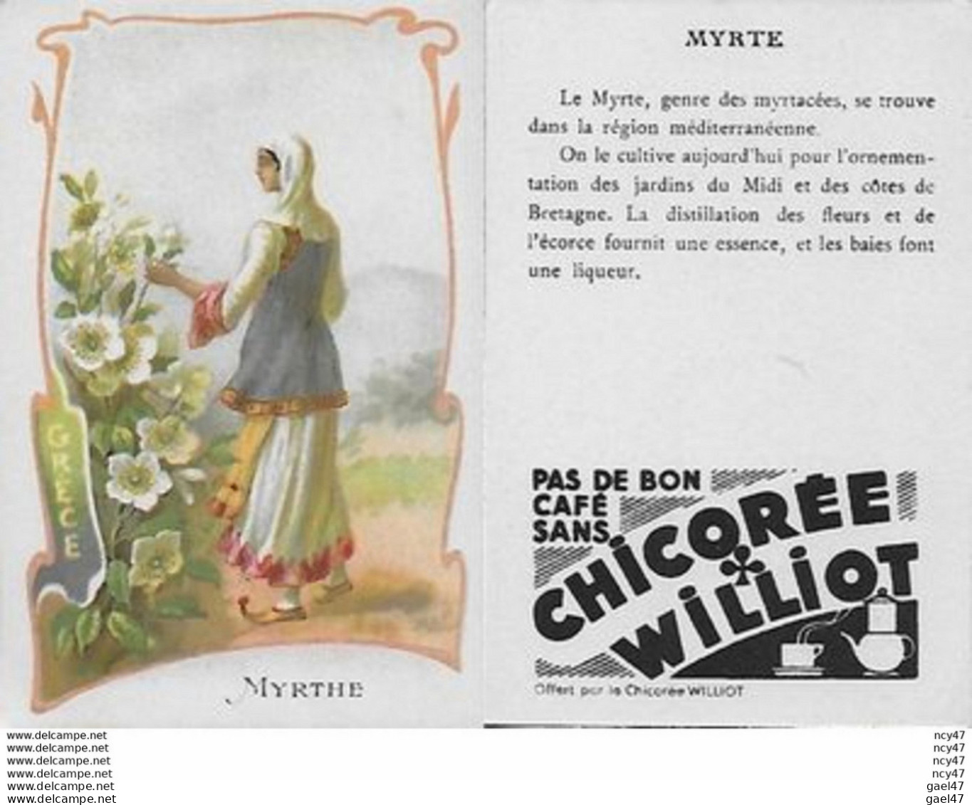 CHROMOS.  Chicorée WILLIOT.  Grèce  "Myrthe"...S3132 - Tea & Coffee Manufacturers