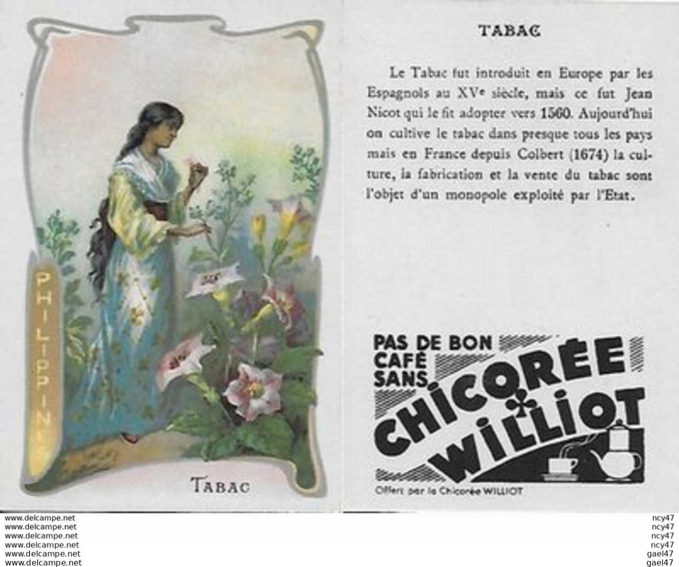 CHROMOS.  Chicorée WILLIOT.  Philippine "Tabac"...S3129 - Thee & Koffie