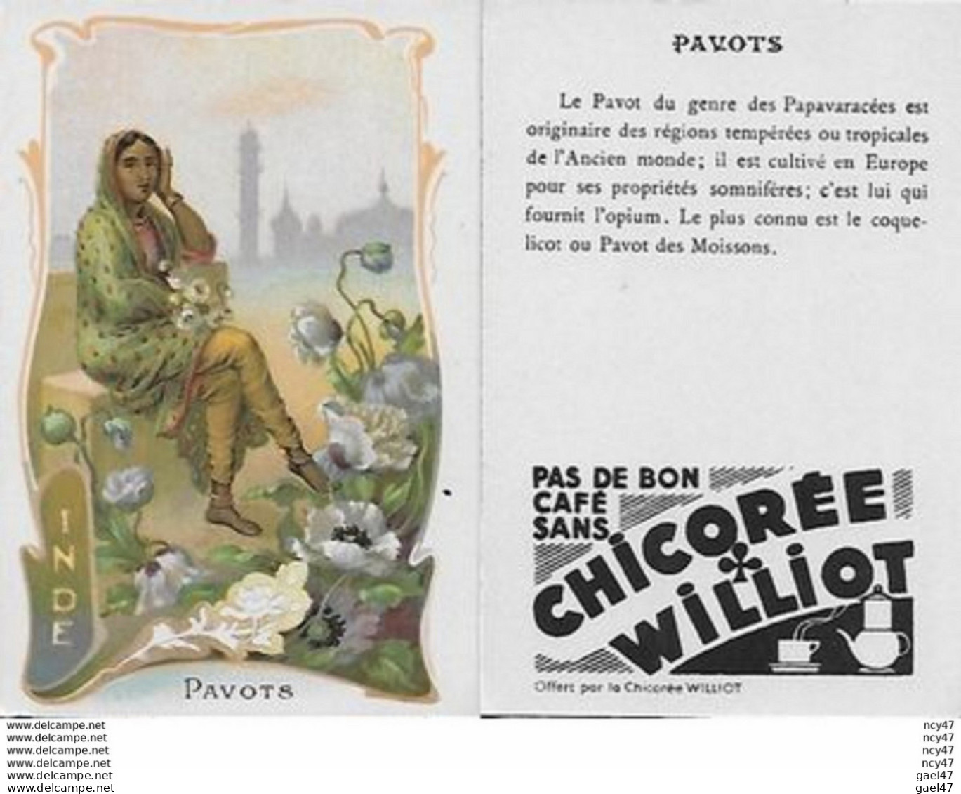 CHROMOS.  Chicorée WILLIOT.  Inde  "Pavots"...S3131 - Thé & Café