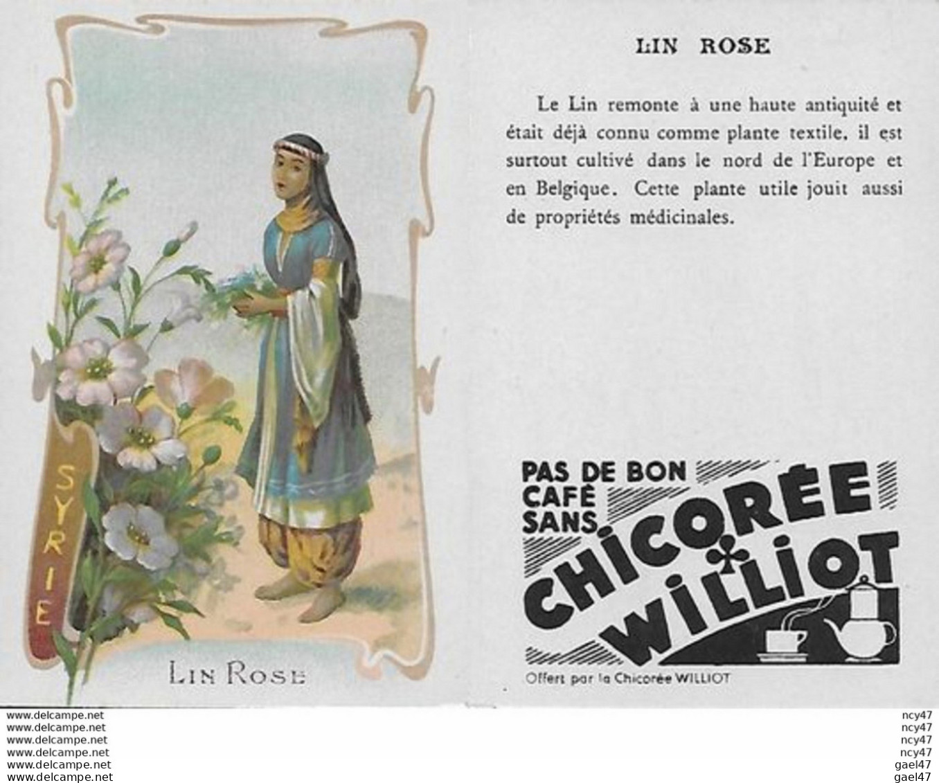 CHROMOS.  Chicorée WILLIOT. Syrie  "Lin Rose"...S3136 - Thee & Koffie