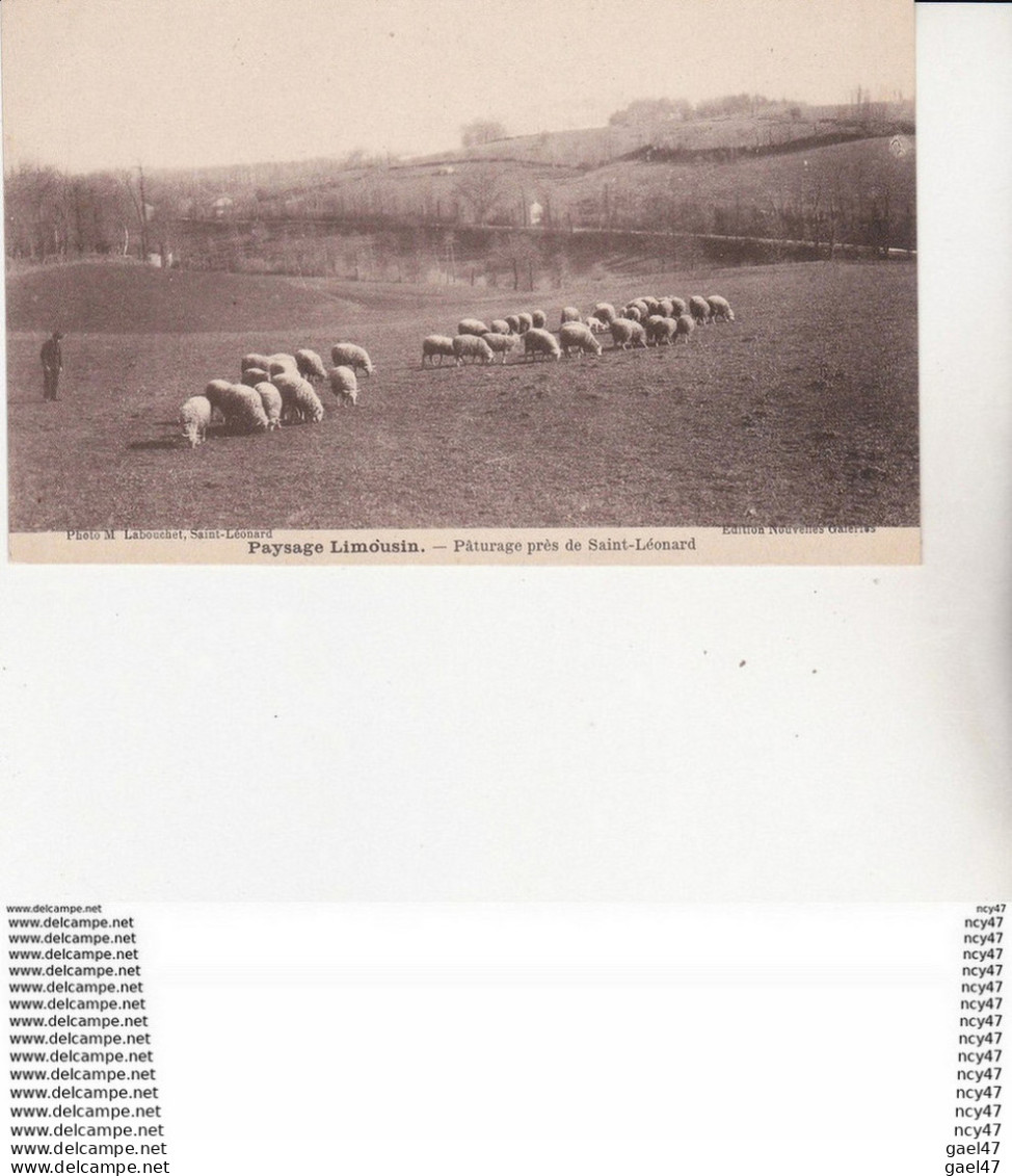 CPA (87) SAINT-LEONARD.  Pâturage Près De Saint-Léonard, Moutons ...U313 - Saint Leonard De Noblat