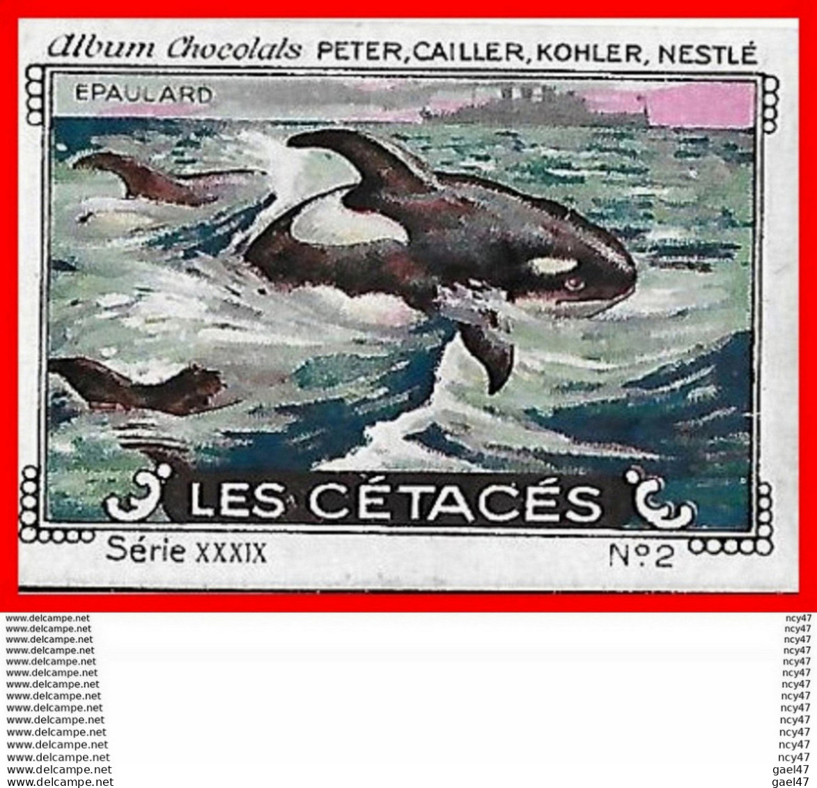CHROMOS. Chocolat NESTLE.  Les Cétacés...S1138 - Nestlé