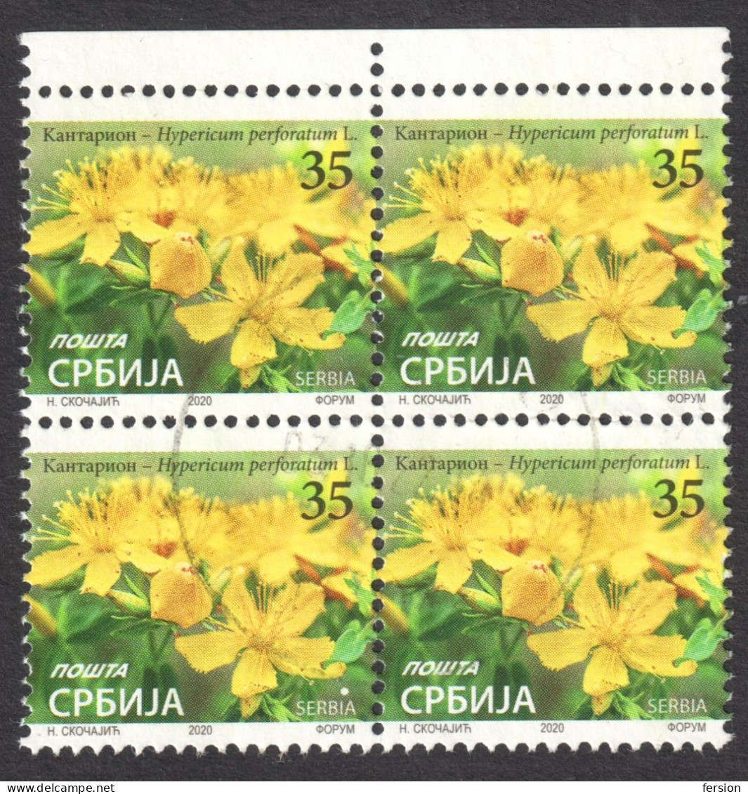 Hypericum Perforatum - St John's-wort - Herbal Medical Drug FLOWER - 2020 SERBIA - Used Block Of Four - Serbia