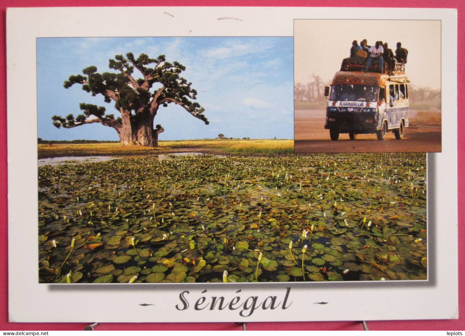 Sénégal - Baobab En Saison Des Pluies - Car Brousse Typique - Joli Timbre - Sénégal