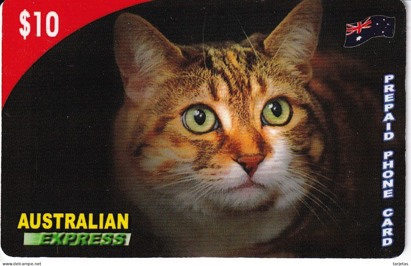 TARJETA DE AUSTRALIA DE UN GATO (CAT) - Gatos