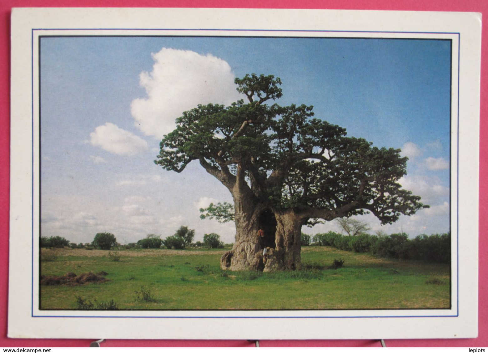 Sénégal - Le Baobab Caverne - Joli Timbre Football - Sénégal