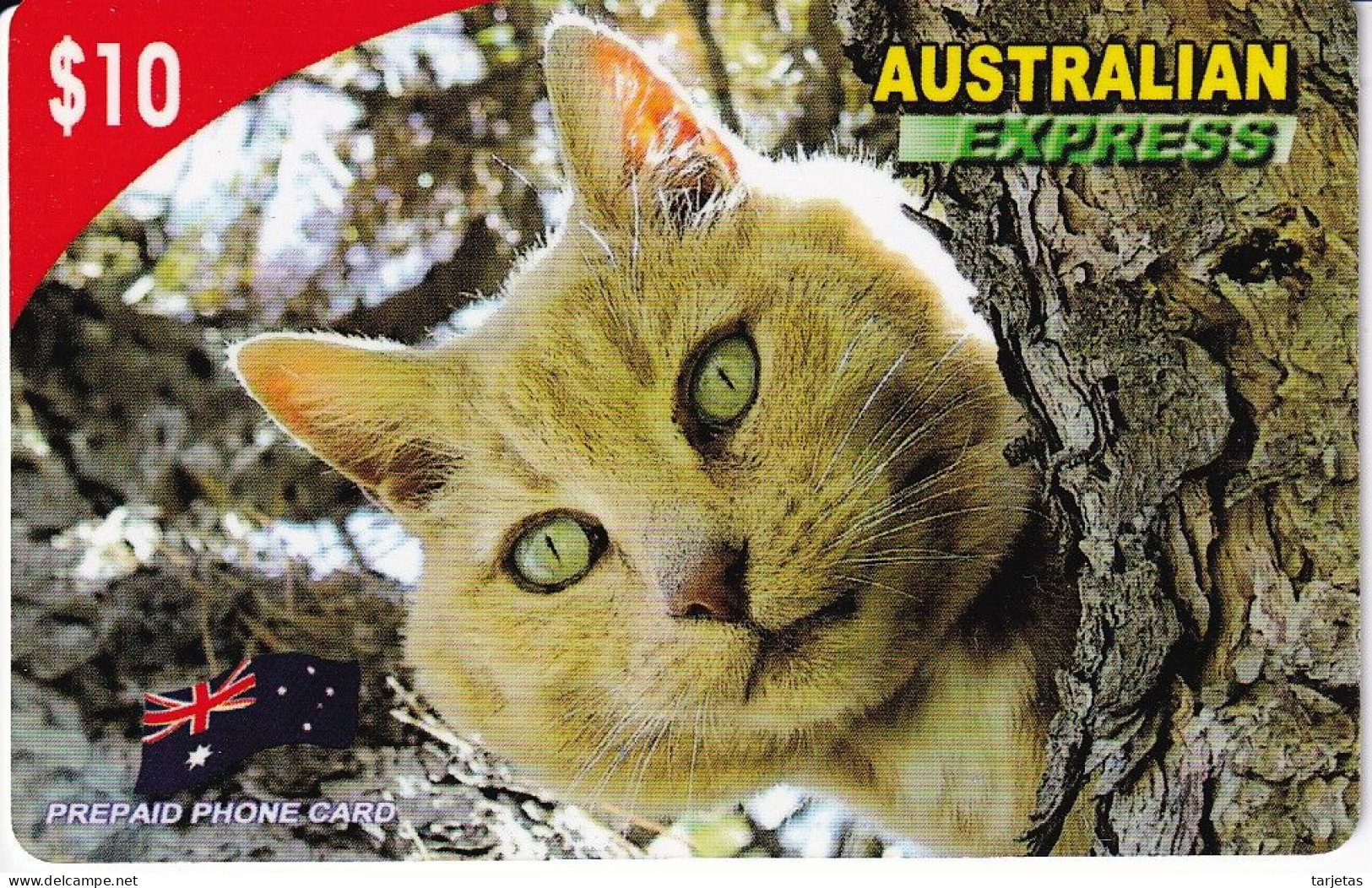 TARJETA DE AUSTRALIA DE UN GATO (CAT) - Cats