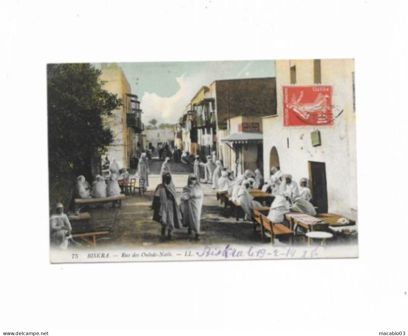 Algérie -  Biskra  Rue Des Ouleds-Naïls  Réf 10568 - Biskra