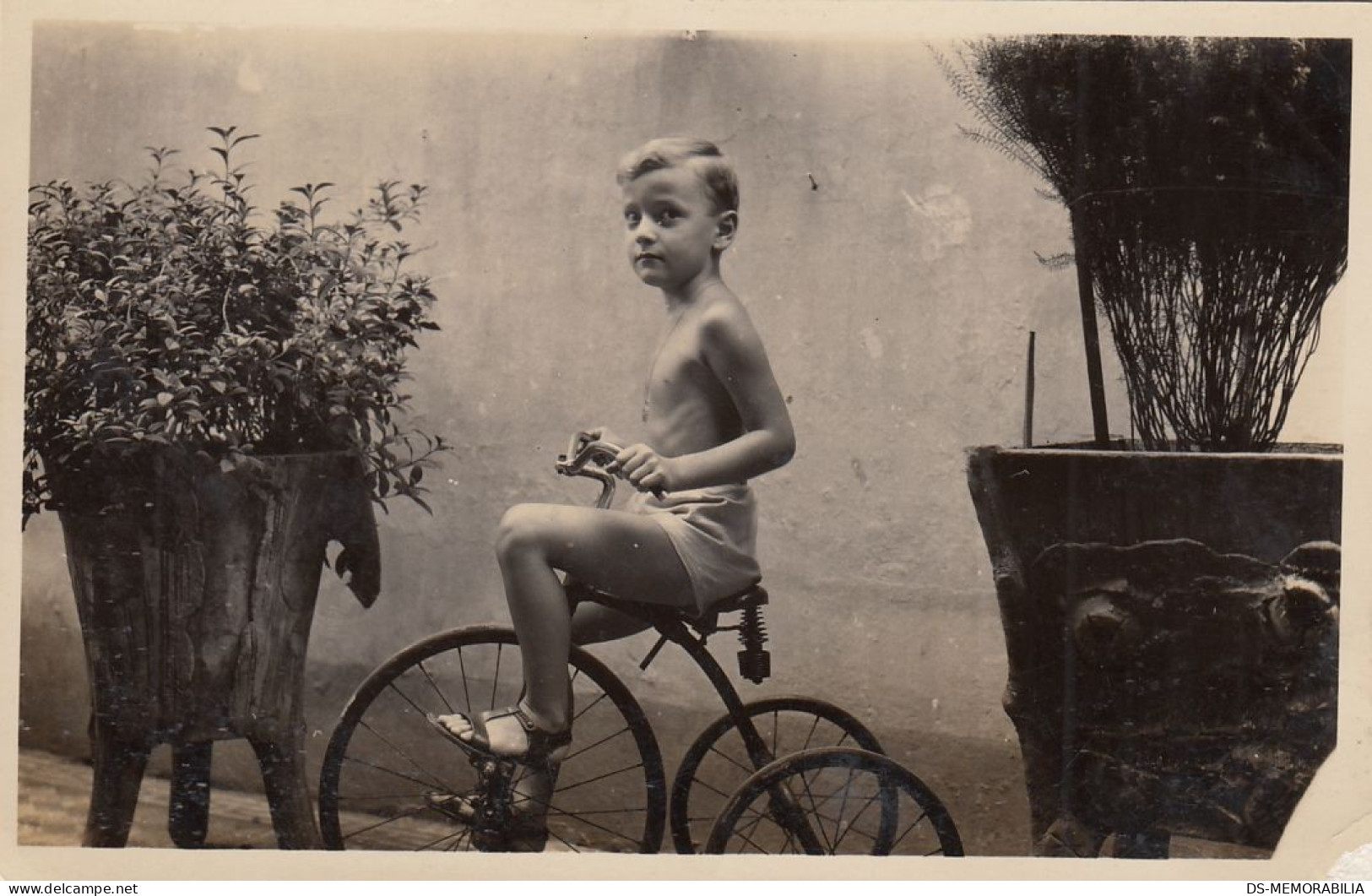 Blonde Boy Driving Antique Bicycle Tricycle Real Photo Postcard 1920s - Spielzeug & Spiele