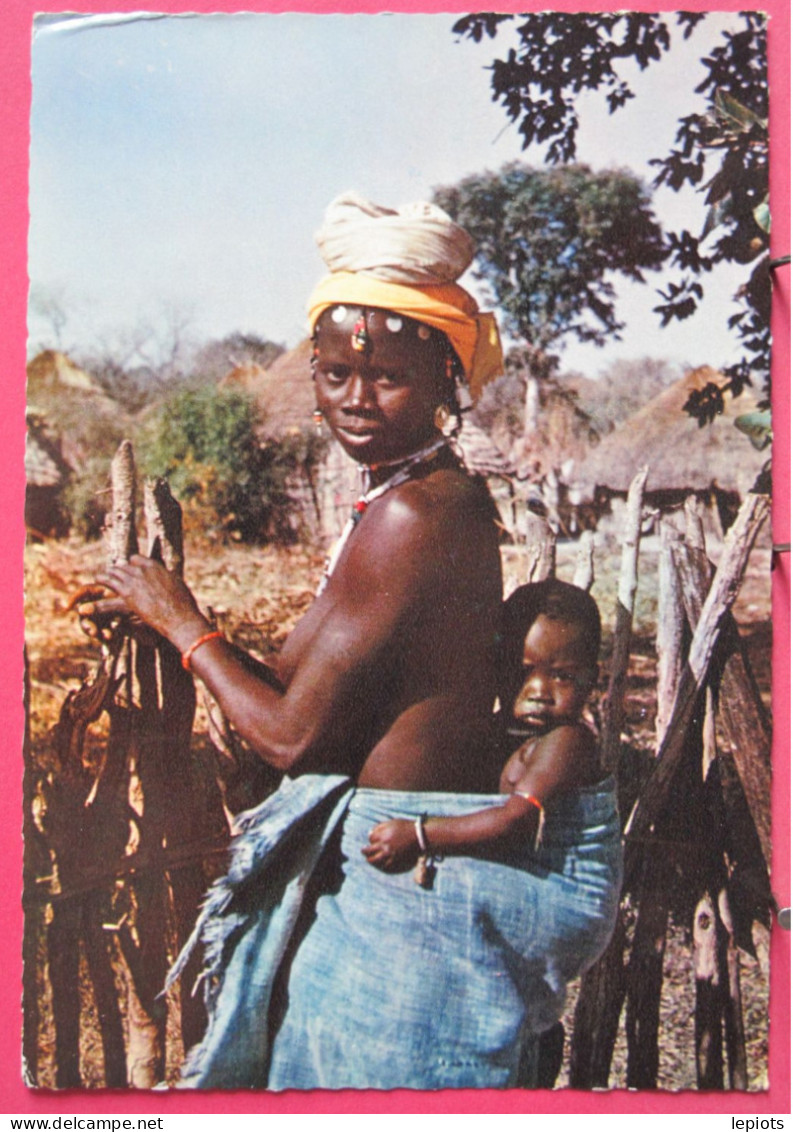Sénégal - Jeune Femme Toucouleur Employée à La Moisson Du Gros Mil - 1967 - Senegal