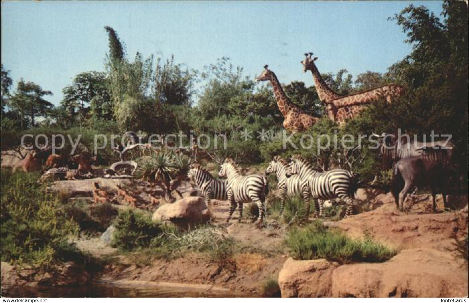 11766866 Disneyland_California African Veldt Gazelles Gnus Zebra Lions Giraffes  - Sonstige & Ohne Zuordnung