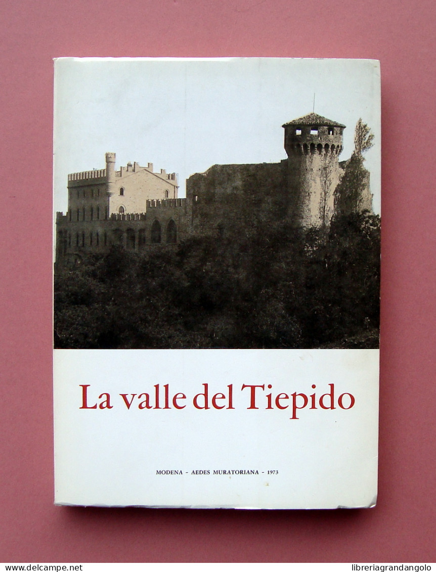 La Valle Del Tiepido Ati Del Convegno 1973 Ed Num. 750 Copie Aedes Muratoriana - Unclassified