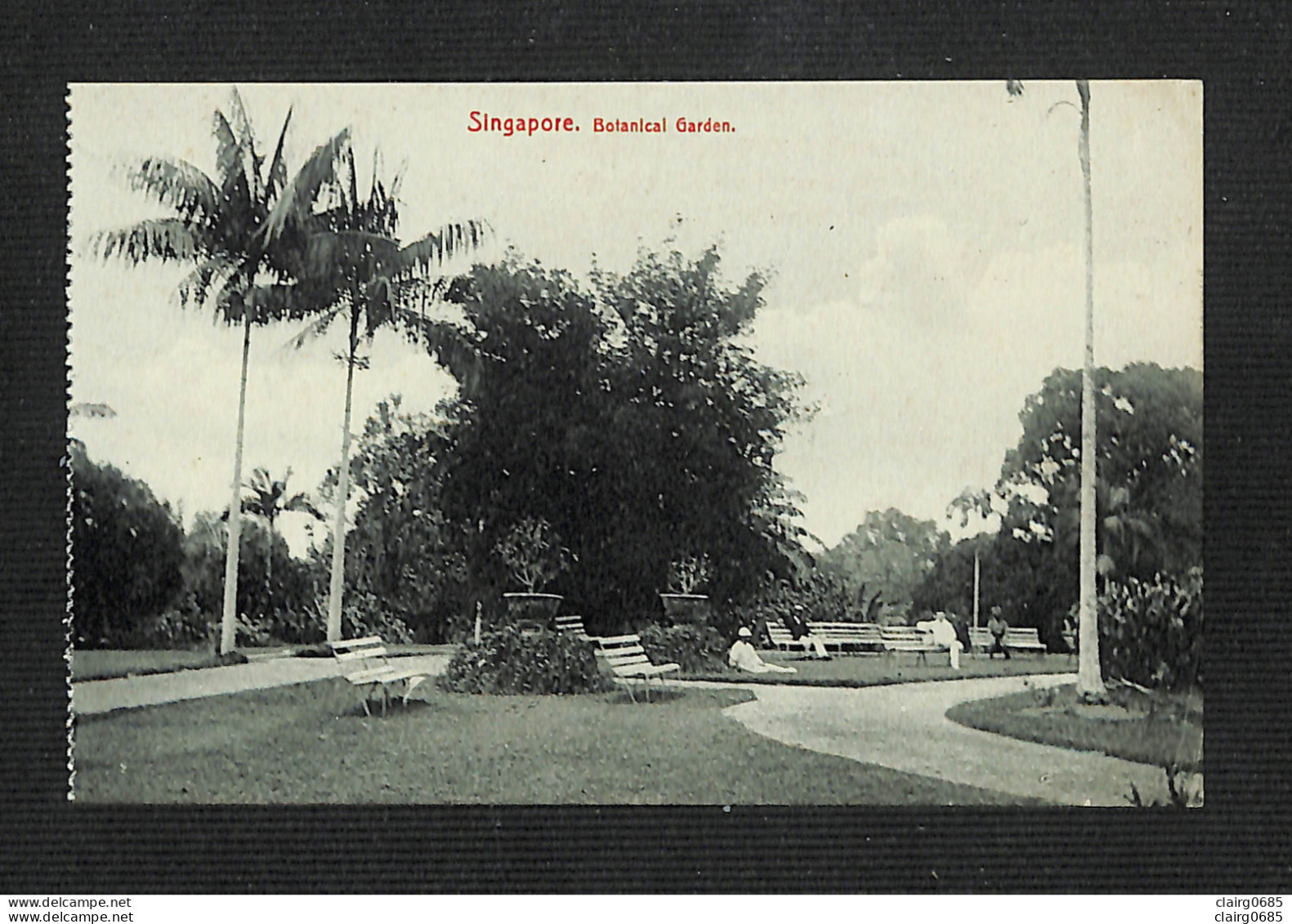 SINGAPOUR - SINGAPORE - Botanical Garden - 213 - Singapur