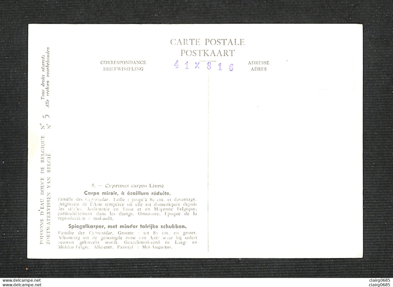 TCHECOSLOVAQUIE - CESKOSLOVENSKO - Carte Maximum 1955 - Carpe Miroir, à écaillure Réduite - Briefe U. Dokumente