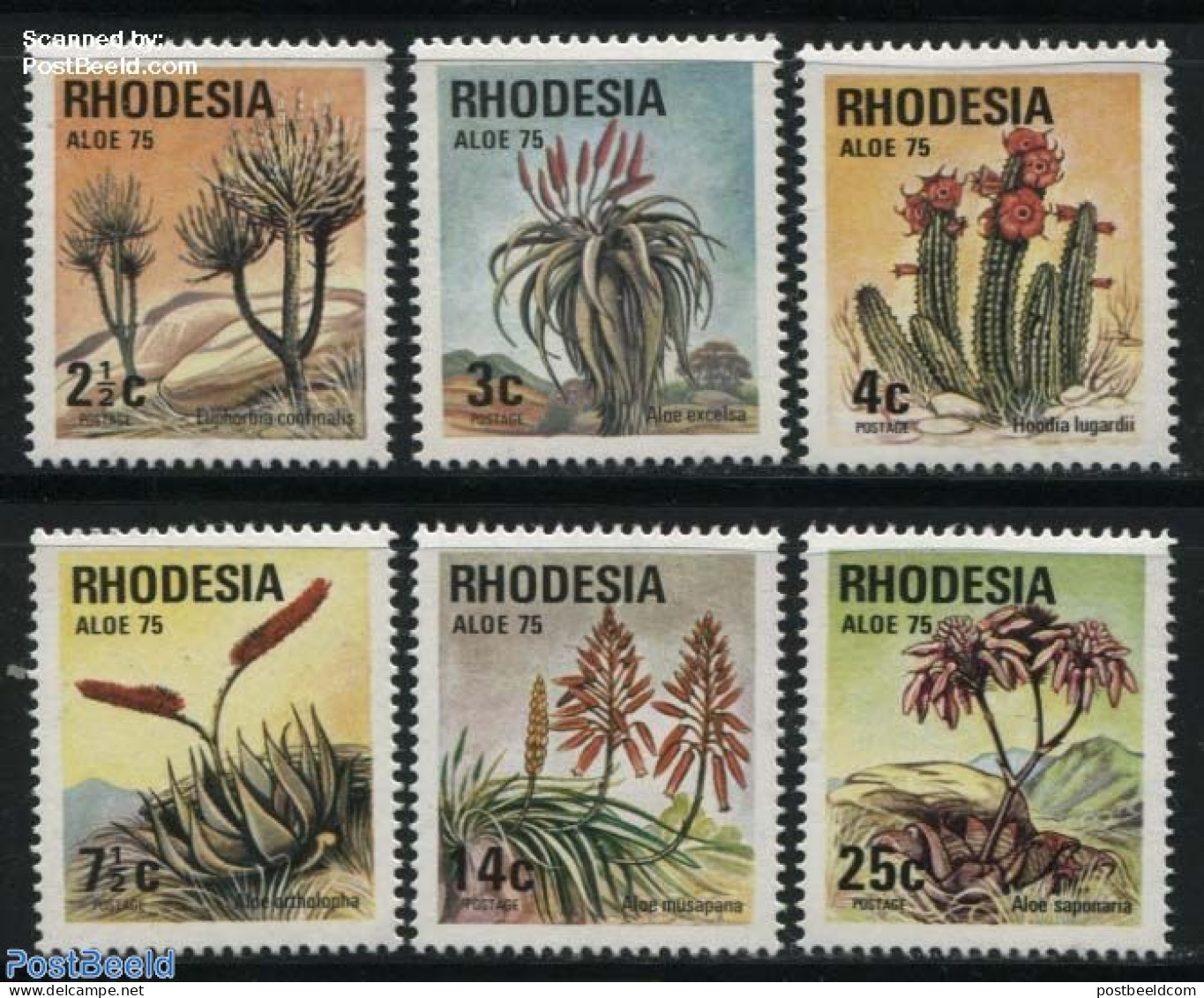 Rhodesia 1975 Desert Flowers 6v, Mint NH, Nature - Cacti - Flowers & Plants - Cactusses