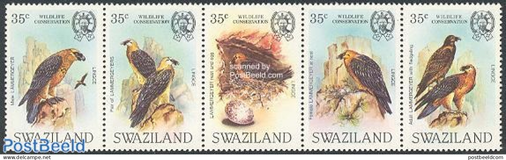 Eswatini/Swaziland 1983 Vultures 5v [::::], Mint NH, Nature - Birds - Birds Of Prey - Swaziland (1968-...)