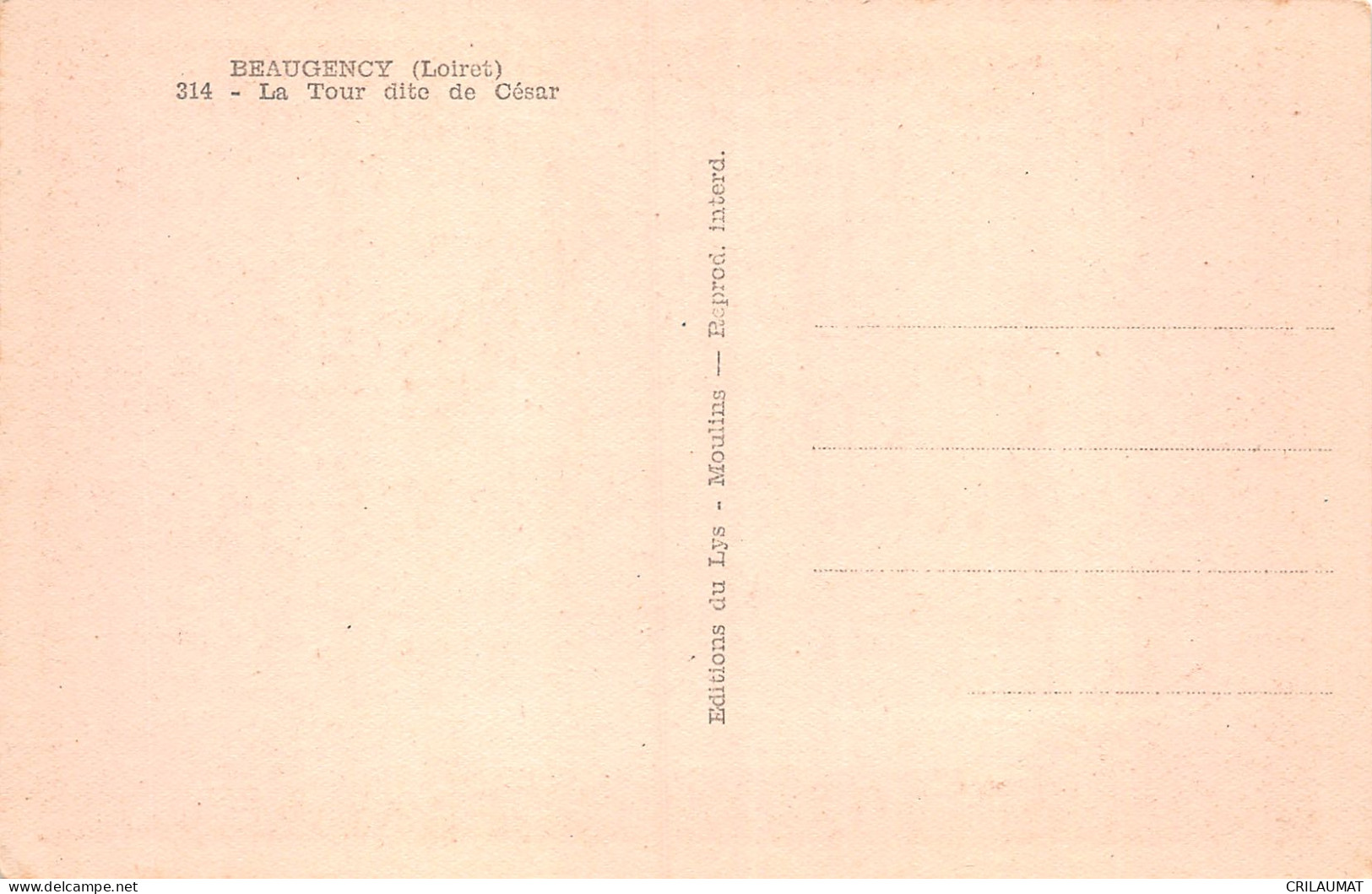 45-BEAUGENCY-N°T5105-B/0089 - Beaugency