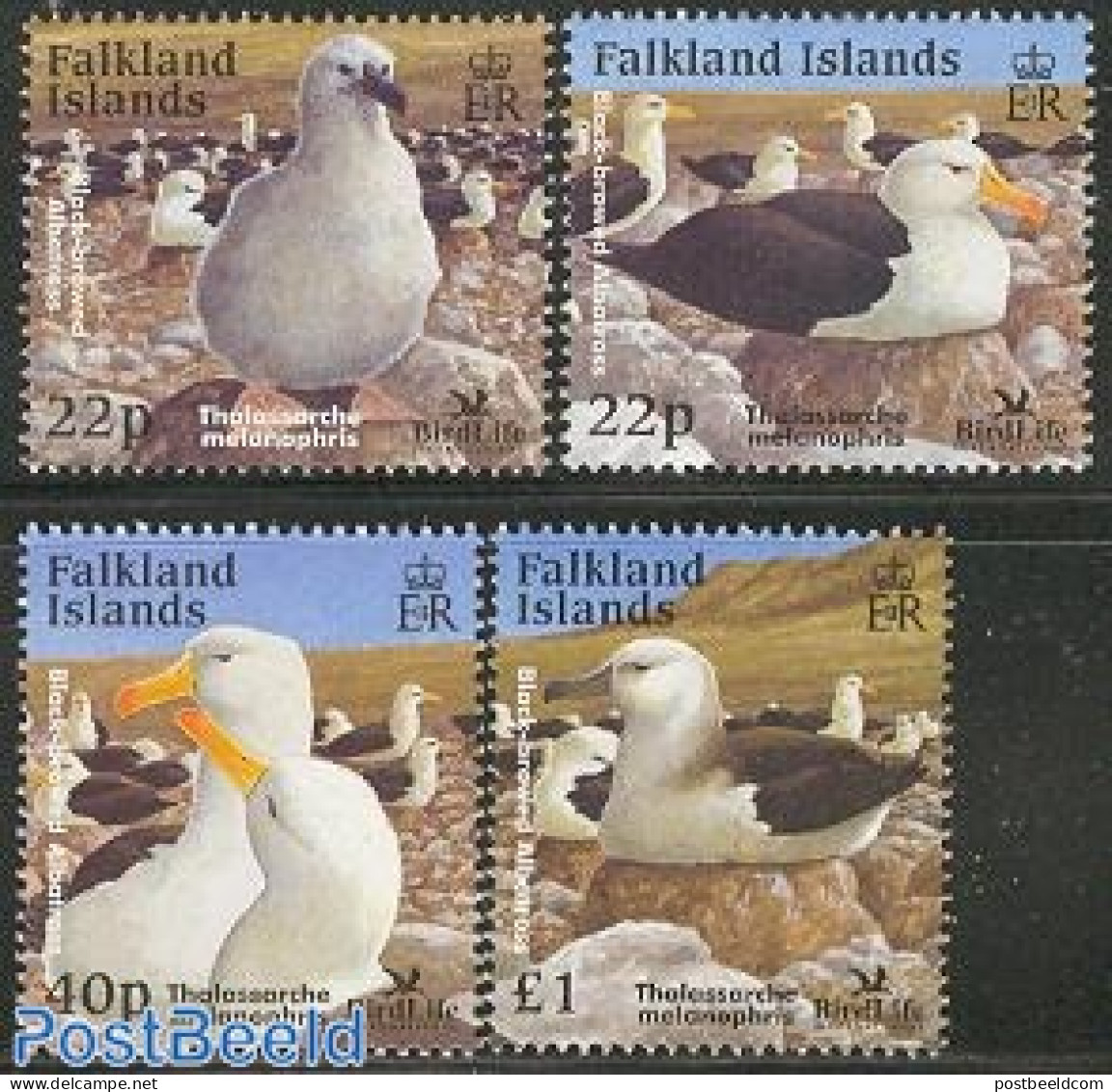 Falkland Islands 2003 Birdlife 4v, Mint NH, Nature - Bird Life Org. - Birds - Andere & Zonder Classificatie