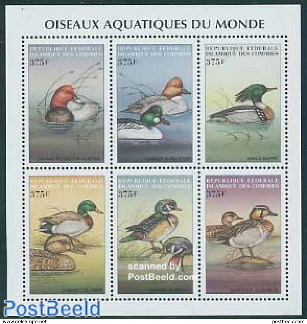 Comoros 1999 Ducks 6v M/s, Mint NH, Nature - Birds - Ducks - Comores (1975-...)