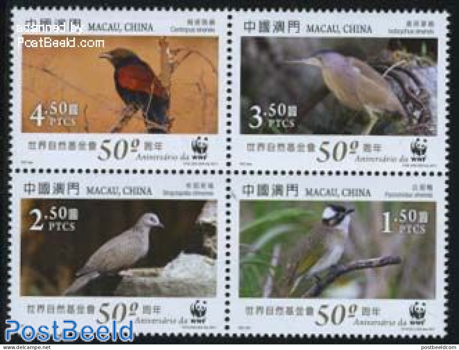 Macao 2011 WWF, Birds 4v [+] Or [:::], Mint NH, Nature - Birds - World Wildlife Fund (WWF) - Unused Stamps